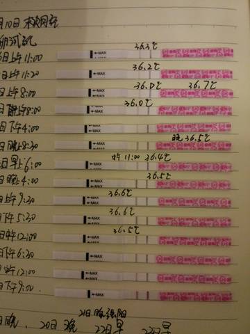 journal_insert_pic_1061448868