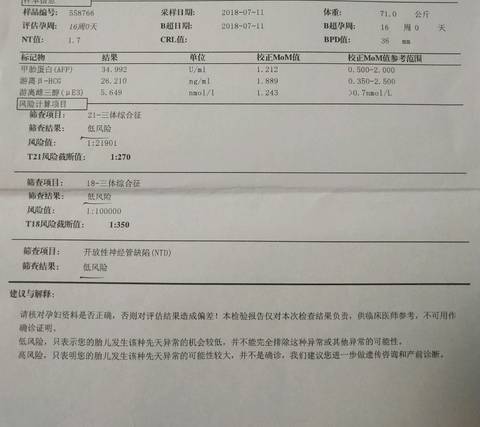 journal_insert_pic_1062098903