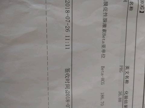 journal_insert_pic_1061926096