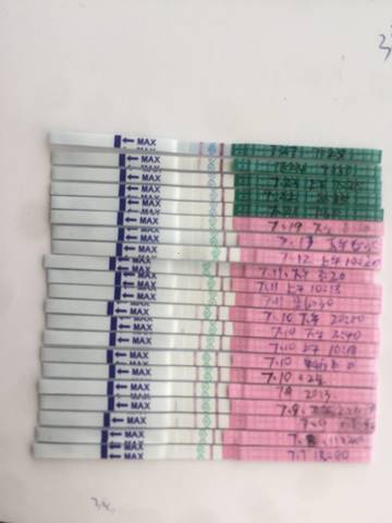 journal_insert_pic_1062282966