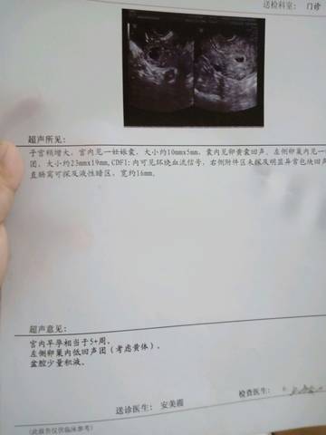journal_insert_pic_1062642330