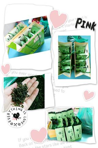 journal_insert_pic_1062308217