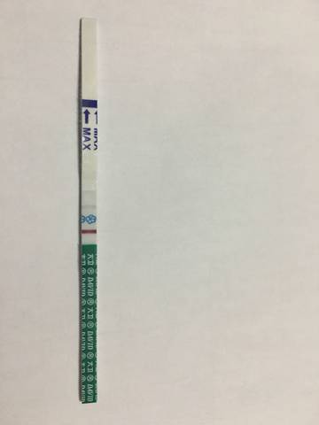 journal_insert_pic_1063172858