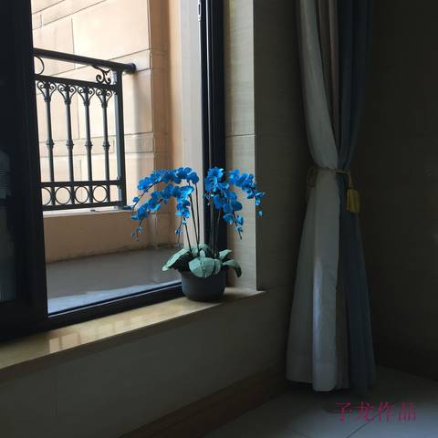 journal_insert_pic_1063650261