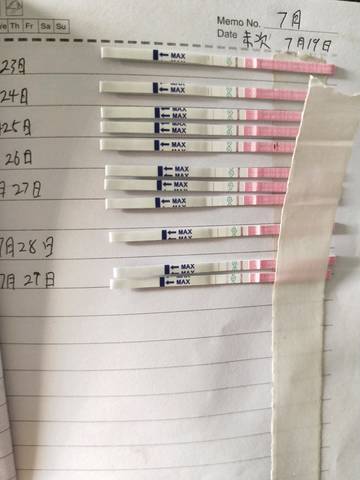 journal_insert_pic_1063807583