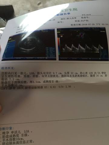 journal_insert_pic_1063813016