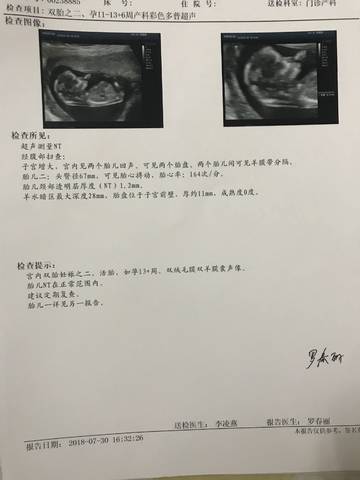 journal_insert_pic_1064574230