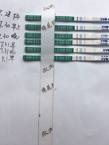 journal_insert_pic_1065425003