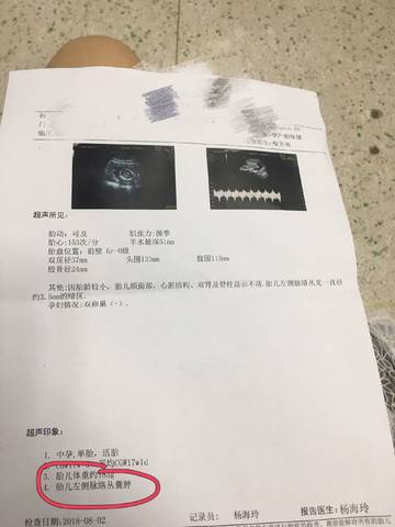 journal_insert_pic_1066623857