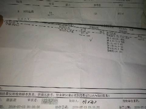journal_insert_pic_1066996360