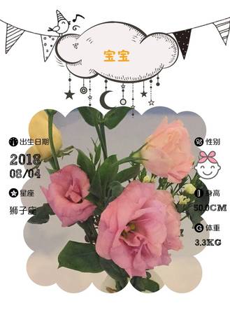 journal_insert_pic_1067624319