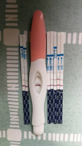 journal_insert_pic_1067471369
