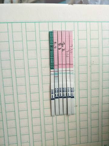 journal_insert_pic_1067491149