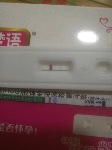 journal_insert_pic_1067920422