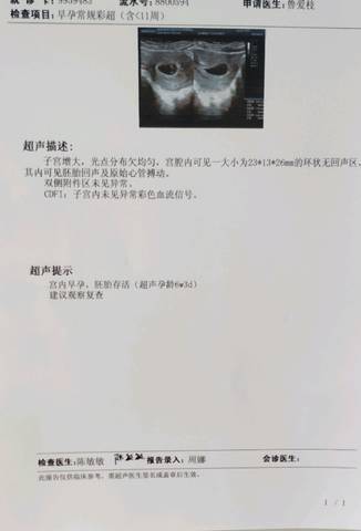 journal_insert_pic_1067926489