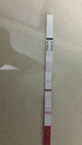 journal_insert_pic_1068196657