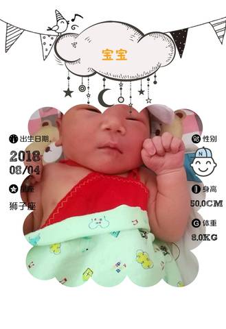 journal_insert_pic_1068747419