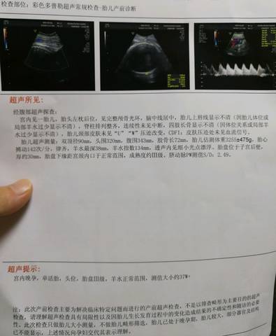 journal_insert_pic_1069742093
