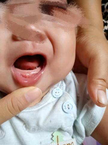 journal_insert_pic_1069480904