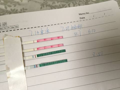 journal_insert_pic_1069306527