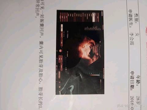 journal_insert_pic_1069539885