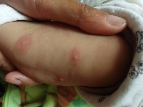 journal_insert_pic_1069561772