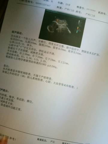 journal_insert_pic_1069389298