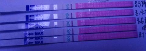 journal_insert_pic_1069913319