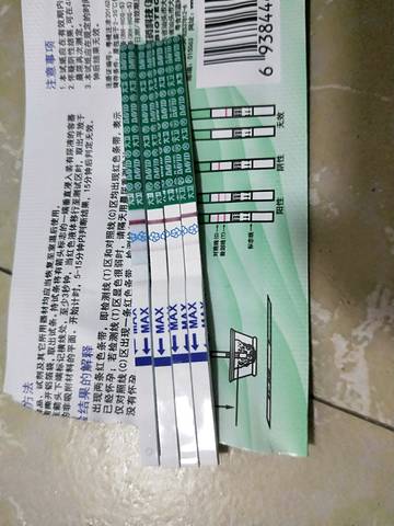 journal_insert_pic_1069962122