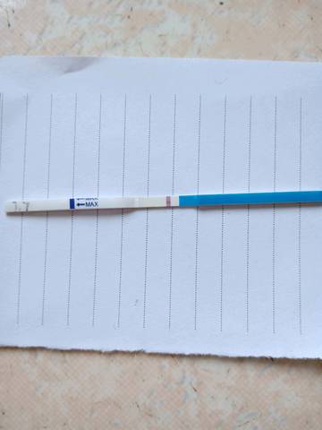 journal_insert_pic_1069961045