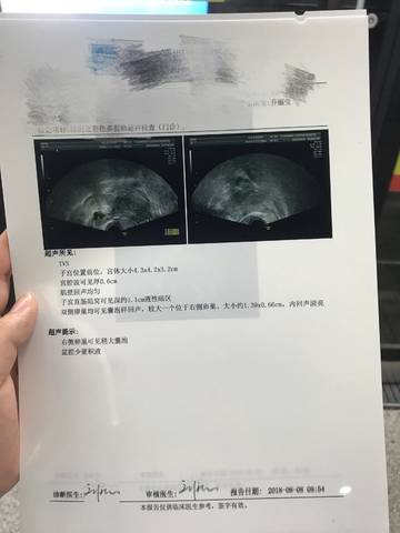 journal_insert_pic_1070106806