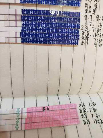 journal_insert_pic_1070963172