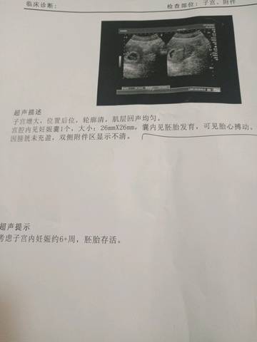 journal_insert_pic_1070843528