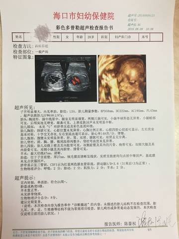 journal_insert_pic_1070756970