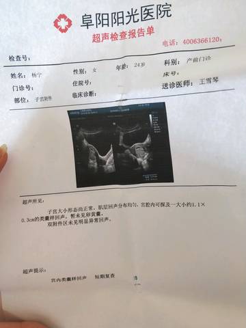 journal_insert_pic_1070799903