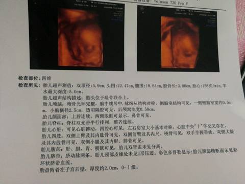 journal_insert_pic_1070611533