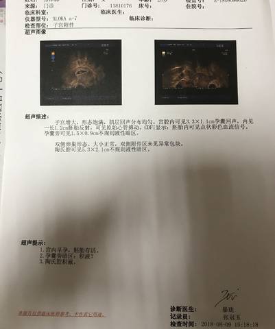 journal_insert_pic_1070879323