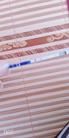 journal_insert_pic_1070568735