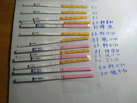 journal_insert_pic_1071670840