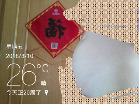 journal_insert_pic_1071150184
