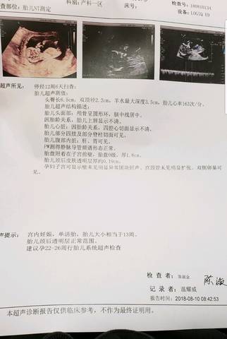 journal_insert_pic_1071199824
