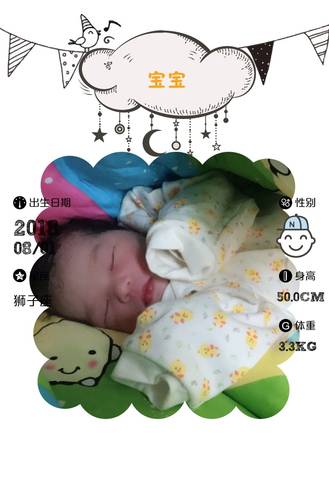 journal_insert_pic_1071841272