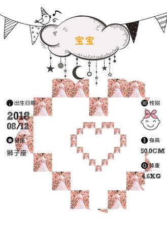 journal_insert_pic_1072763193