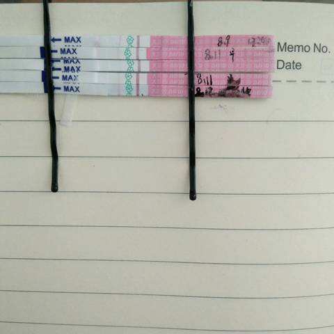 journal_insert_pic_1072653242