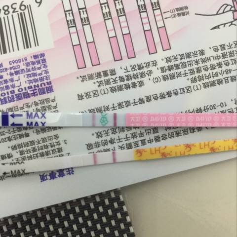 journal_insert_pic_1072396866