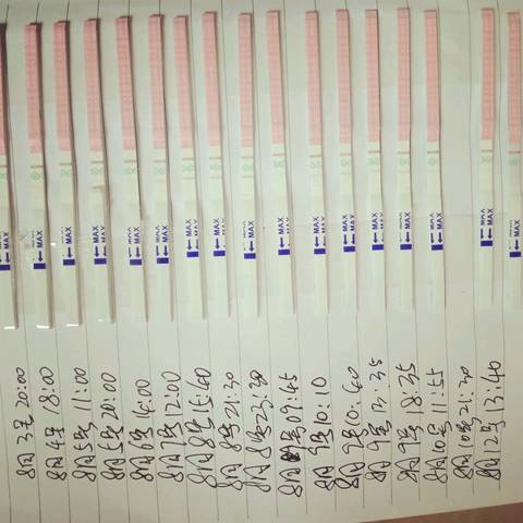 journal_insert_pic_1072658634