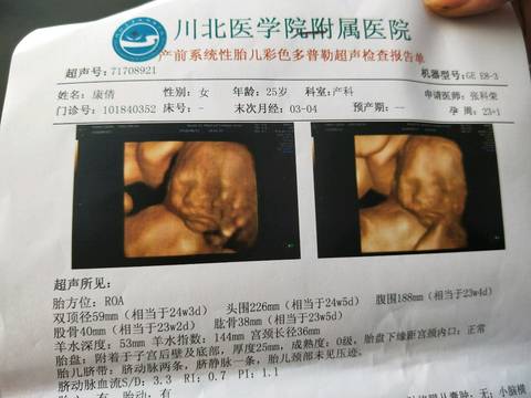 journal_insert_pic_1073510574