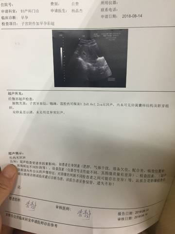 journal_insert_pic_1073994962