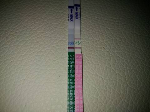journal_insert_pic_1074844056