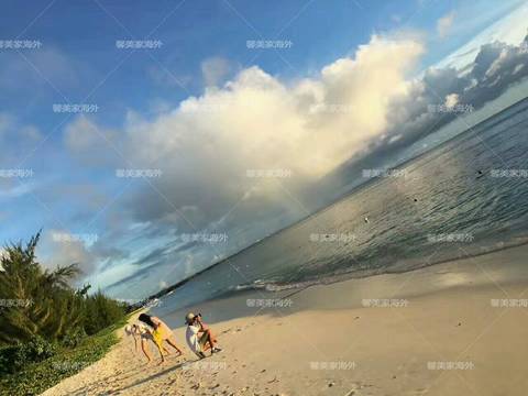 journal_insert_pic_1074588713